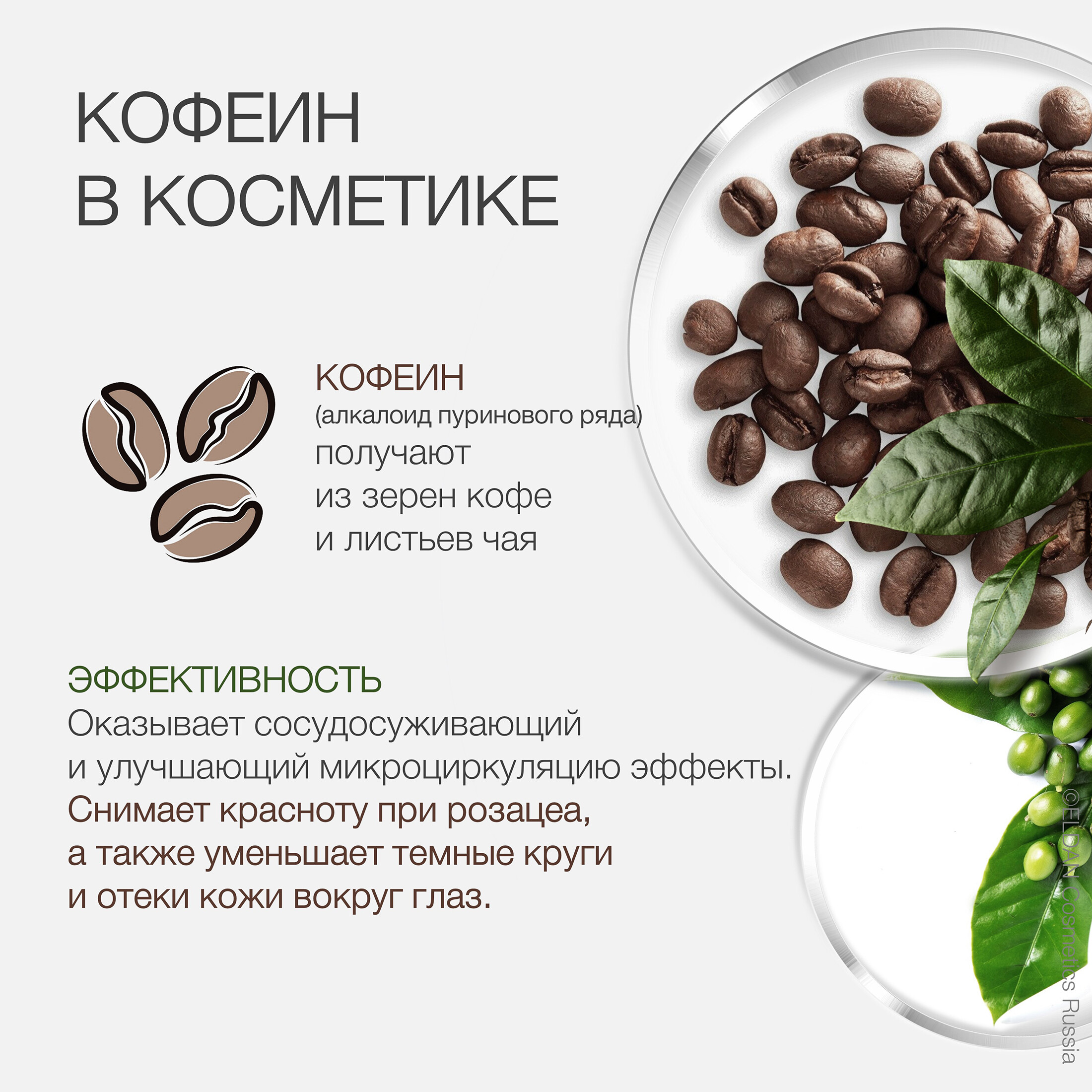 Пост кофеин ингредиент 2.jpg